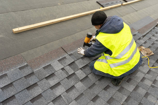 Best Roof Gutter Cleaning  in Elk Mound, WI