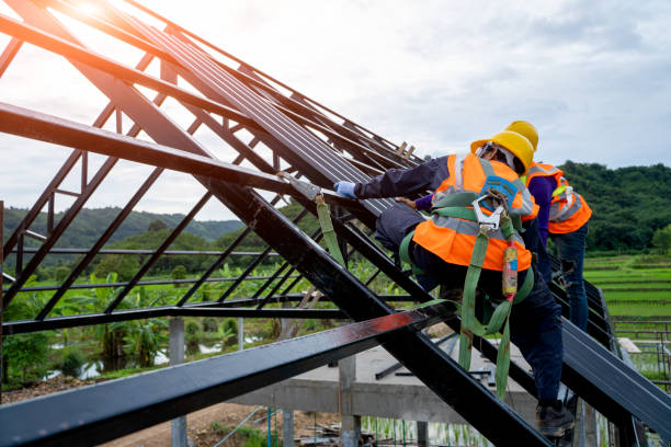 Best Roof Installation Near Me  in Elk Mound, WI