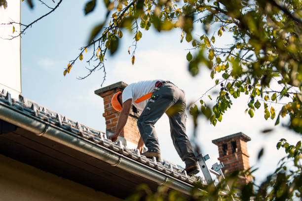 Best Shingle Roofing Installation  in Elk Mound, WI