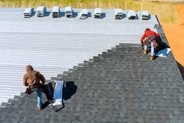 Roof Gutter Cleaning in Elk Mound, WI