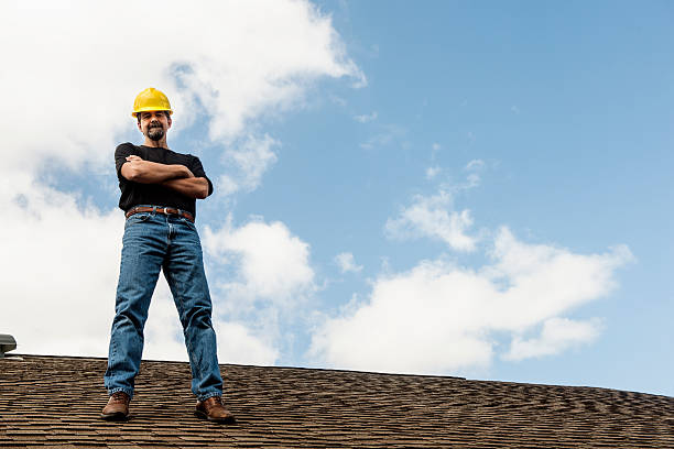 Best Gutter Installation and Roofing  in Elk Mound, WI