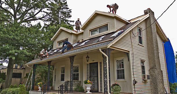 Best Local Roofing Companies  in Elk Mound, WI