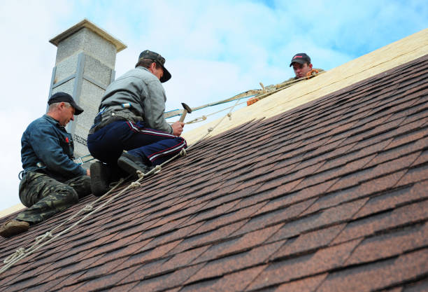 Best Roof Replacement Cost  in Elk Mound, WI