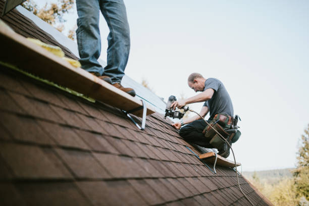 Roof Waterproofing Services in Elk Mound, WI