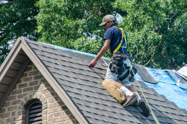 Best Flat Roof Repair Services  in Elk Mound, WI
