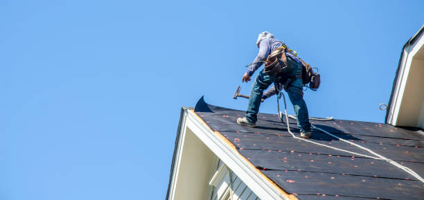 Professional Roofing Contractor in Elk Mound, WI